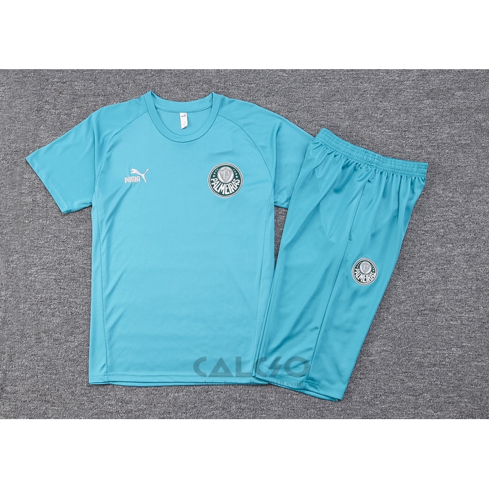 Tuta da Track Palmeiras Manica Corta 2023-2024 Verde - Pantaloncini